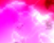 frauenklinik tuebingen